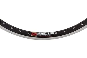 SUNringle Sun Rhyno Lite 20" 36 Holes Black Rim w/Silver Sides, Schrader Valve