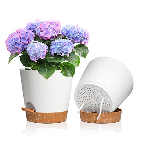 T4U 8 Inch Plastic Plant Pots - Indoor Self Watering Planter Flower Pot ...
