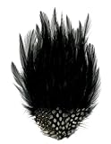 Zucker Feather (TM) - Hackle-Guinea Small Feather Pad - Black Natural