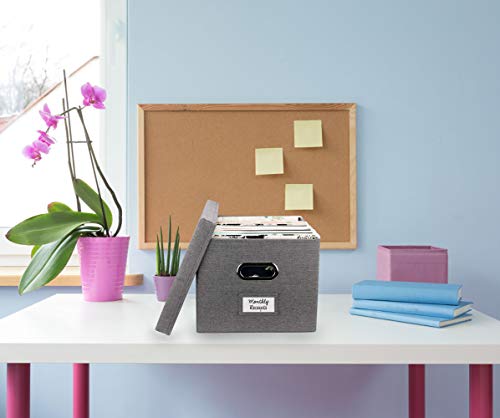 File Organizer Box Set of 2 - Collapsible Linen Filing Boxes for Easy File Folder Storage- Handles and Removable Lid | Organize Your Documents and Hanging Files in Style