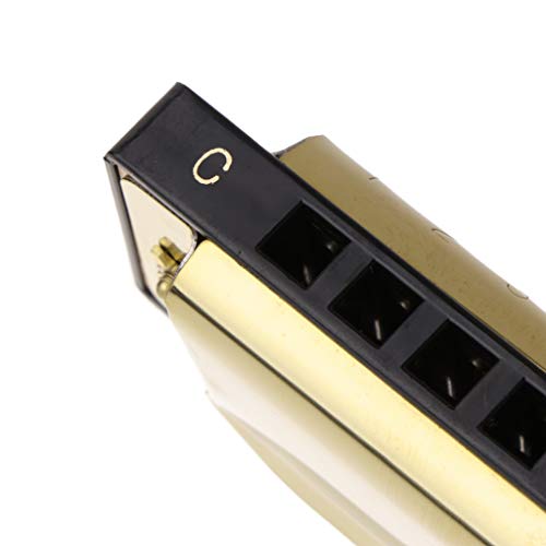 image for Jesse 10 Hole C Key 20 Tone Harmonica, Blues Metal Harmonica Key Educa
