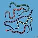 ~ 12 ~ Stretch Toy Snakes ~ 8