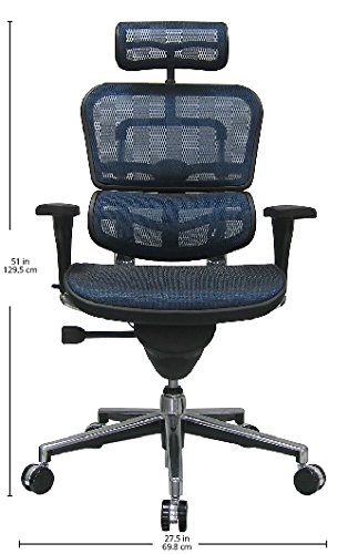 Ergohuman Executive Chair With Headrest Black