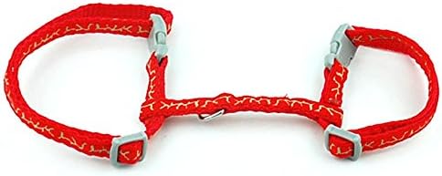 SMALLLEE_LUCKY_STORE Pet Cat Harness Collar Giraffe Small Dog Walking Vest Kitten Harness Lead Adjustable Red - Image 3