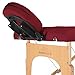 Saloniture Professional Portable Folding Massage Table with Carrying Case - Burgundy