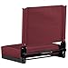 Flash Furniture Grandstand Portable Stadium Seat for Bleachers or Benches, Folding Padded Stadium Chair with Carrying Handle, 500 lb. Weight Capacity, Maroon