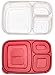 Amazon Basics Bento Lunch Box Containers - Set of 4