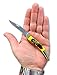 Fury Mustang Clip Point Folding Pocket Knife with Delrin Stag Handle Nickel Bolsters, 4-Inch