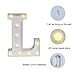 DELICORE LED Marquee Letter Lights Alphabet Light Up Sign for Wedding Home Party Bar Decoration L