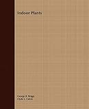 Indoor Plants by
