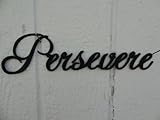 Persevere Word Decorative Metal Wall Art