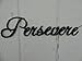 Persevere Word Decorative Metal Wall Art