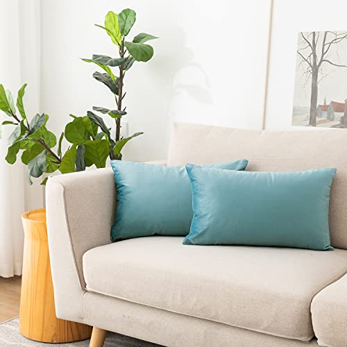 NiNi ALL Decorative Throw Pillow Covers Pack of 2, Velvet Cushion Case for Couch Bedroom Living Room Outdoor, Pillow Covers 12x20 Inch（30 x 50 cm） Light Blue
