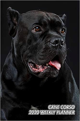 Cane Corso 2020 Weekly Planner Molosser Italian Mastiff