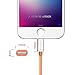 iPhone 6 Charger, 10 Ft Long, F-color Apple MFI Certified Nylon Braided 8 Pin Lightning Cable Cord to USB Cord for iPhone 6S 6 Plus 5 5S 5C, iPhone SE, iPad Air 2 Mini 4 3 2, iPad Pro Orange 3M