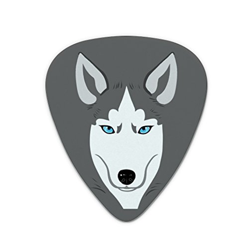 Husky Look Into My Eyes Face Pet Dog Novelty Guitar Picks Medium Gauge - Set of 6