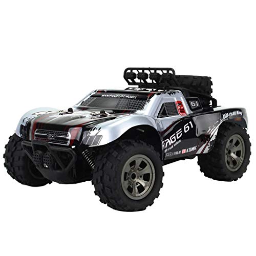 1:18 2WD RC Car,High Speed Racing Off Road Vehicle Toy Remote Control Car for Adults + Kids (1885-A Silver)