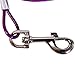 Favorite 16-inch Spiral Stake with 15-feet Tie Out Cable for Large Medium Dogs Outdoors, Camping and Garden
