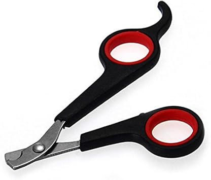 Guinea Pig Nail Trimmers 2025