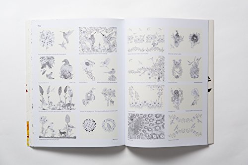 47+ Birdtopia Coloring Book Free