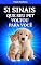 Livro 51 Sinais Que Seu Pet Voltou Para Você