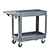 Pearington Utility Rolling Cart- Multi Purpose, Heavy Duty Service Cart; Supplies Storage and Organizer; 2 Tier with Wheels- 500lb Loading Capacity, Gray (2T-29835)