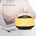 Tasera Essential Oil Diffuser with Remote Control, 300ml Mini Aroma Essential Oil Cool Mist Humidifier, Waterless Auto Shut-Off, Timer and 7 Color LED Lights for Office Home Study Yoga Spa Baby