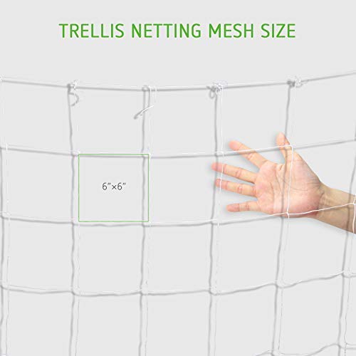 2 VIVOSUN+Heavy+Duty+Polyester+Trellis+Netting