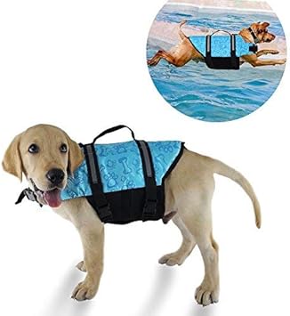 best dog harness for swimming