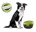 Dog H20 Large Dog Water Fountain 6 Liter - Automatic Filtered Pet Water Fountain for Dogs Raised Bowl Water Dispenser for Large Pets, Water Level Indicator - Multi-Pet, BPA-Free, Dishwasher Safe