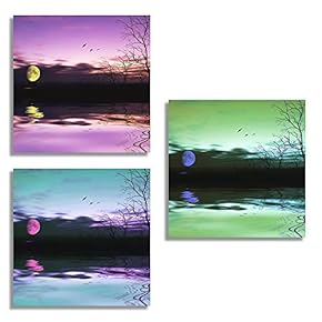 3 Piece Canvas Wall Art for Living Room Bedroom Home Artwork The Beautiful Scenery of Sunset Paintings Ready to Hang - 12"x12"x3 Panels