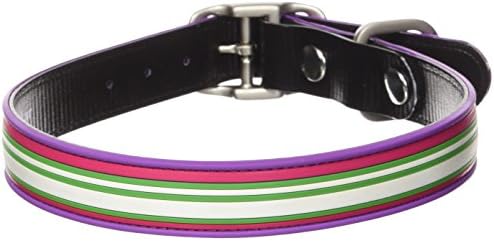Dublin Dog Co All Style No Stink Classic Stripe Dog Collar, Maui Sunrise, 17 by 21.5-Inch, Large