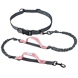 TaoTronics Retractable Dog Leash with Dual Bungees for Double Protection, Hands Free Dog Leash for Running, Walking, Hiking & Biking, Dual Handles for Better Controlling, for up to 150 lbs Large Dogs