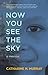 Now You See the Sky by Catharine H. Murray