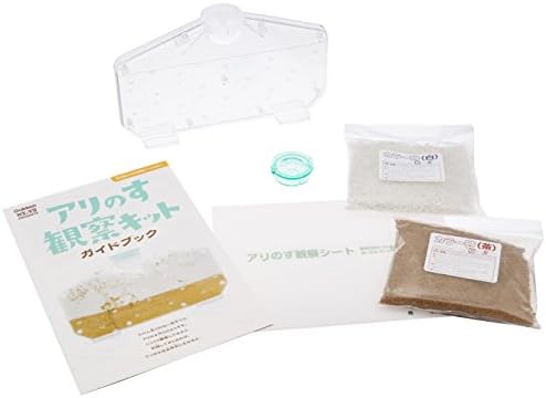 Amazon アリのす観察キット 生物 動物 人体 おもちゃ