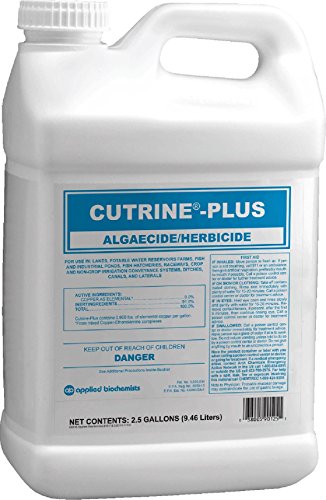 Cutrine Plus Algaecide, 2.5 gal