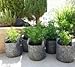 Soft Pots from Maui Mike's Best Fabric Pot with Thick Sewn Handles for easy moving. (10 Gallon)