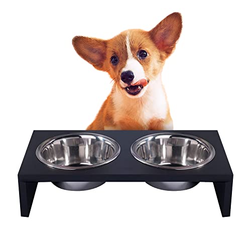 PAWISE Elevated Dog Bowls, Raised Cat Feeder Elevated Food And Water