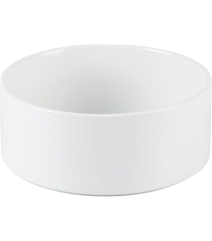 Amazon.com : Welloyed 8'' Ceramic Dog Bowl - 70Oz Classic Dogs Food & Water  Bowl for Medium and Large Breeds, Heavy-Duty Non-Slip Dog Dish, Food Grade  Stoneware Pet Bowl, Dishwasher & Microwave