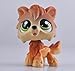GOOD LUCK CHARM Rare Littlest Pet Shop Wolf Brown Tan Husky Timberwolf Green Eyes Dog LPS + GIFT BOX