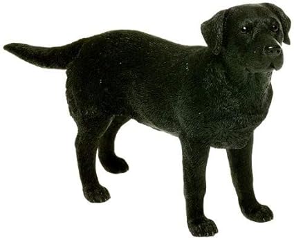 Leonardo Collection Labrador Ornament Hond Steen Zwart Amazon Nl