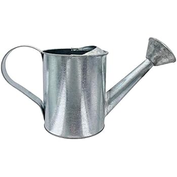 Darice 6300 Galvanized Round Watering Can