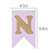 LXZS-BH Blue and Pink 1st Birthday Banner, Glitter