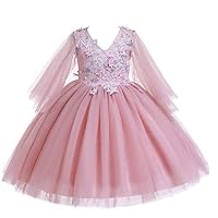 Weileenice 3-14T Girls Wedding Party Dress Tulle 3D Embroidery Beading Flower Elegant Princess Dresses (7-8Years, Dusty Pink)