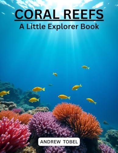 Amazon.com: The Great Barrier Reef: 9780600003557: Power, Allan: ספרים
