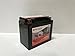 Genuine SigmasTek YTX12-BS / STX12-BS Sealed Maintenance Free ATV Quad Motorcycle Scooter Moped Replacement Battery