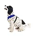 Gooby Comfort X Head In Harness - Blue, X-Large - No Pull Small Dog Harness Patented Choke-Free X Frame - Perfect on the Go Dog Harness for Medium Dogs No Pull or Small Dogs for Indoor and Outdoor Use