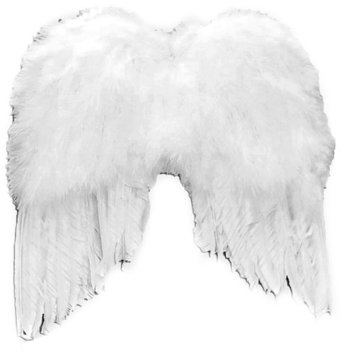 Touch of Nature 11003 Adult Angel Wing, 12 by 14-Inch