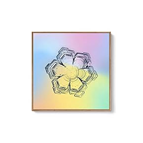 Framed Canvas Wall Art for Living Room, Bedroom Snowflake Theme Canvas Prints for Home Decoration Ready to Hang - 16x16 inches