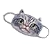 Unisex Cute Vivid 3D Cartoon Cat Breathable Anti Dust Fleece Velvet Face Mouth Gauze Mask Cover Respirator with Ear Loops Winter Face Ears Warmer, Christmas Gift, 3Pcs